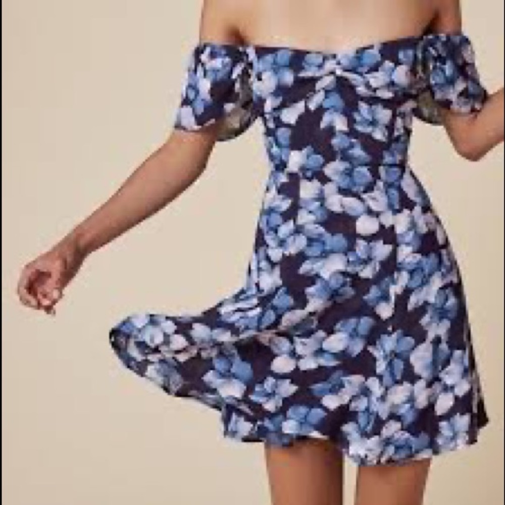 Reformation Blue Floral Dress Size 8